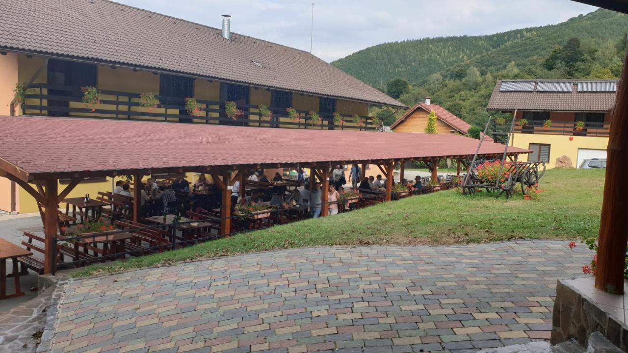 Pensiunea Rau Sadului Extérieur photo