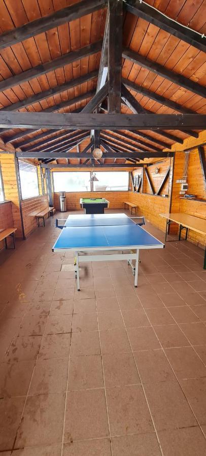 Pensiunea Rau Sadului Extérieur photo